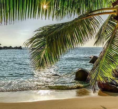 Baga Beach Palms Dış mekan fotoğraf