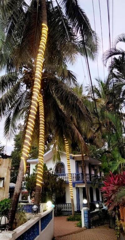 Baga Beach Palms Dış mekan fotoğraf
